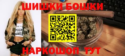 МДПВ Лесосибирск