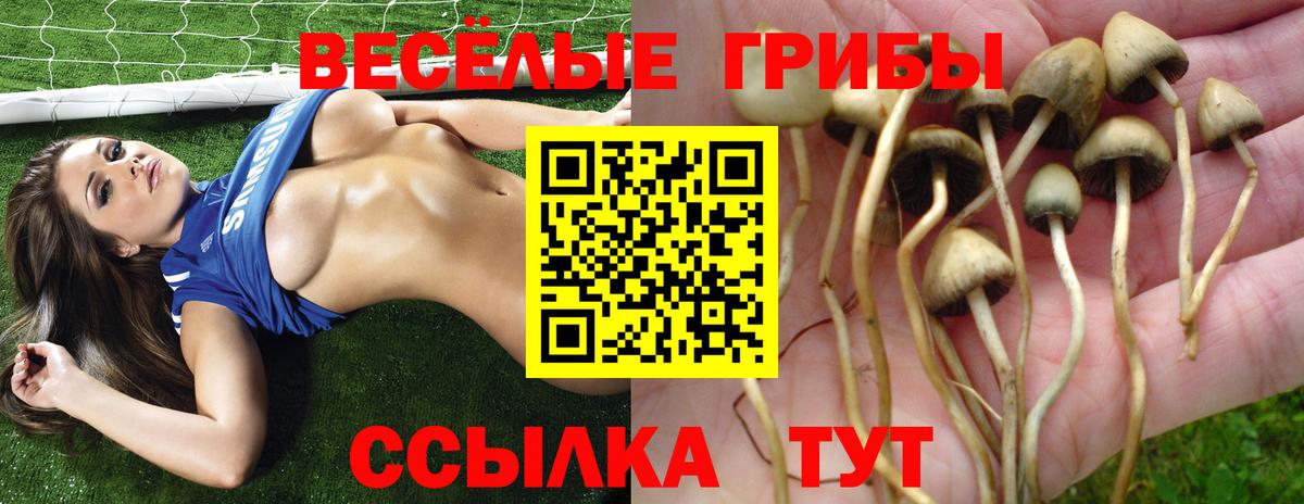 купить закладку  Вход с VPN  Дагестанские Огни  Галлюциногенные грибы Psilocybe 