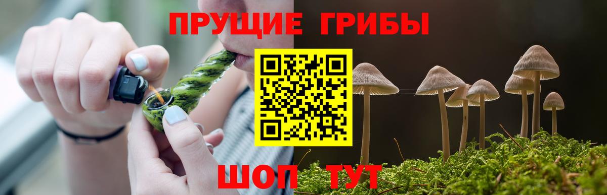 Псилоцибиновые грибы Cubensis Дагестанские Огни